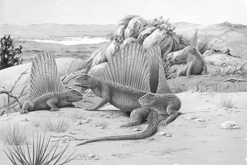 Illustration of dinosaurs