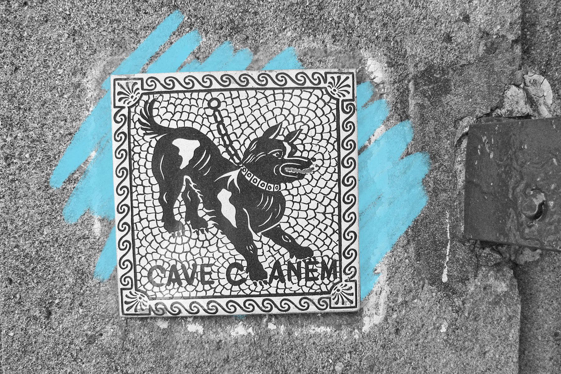 Cave Canem reproduction