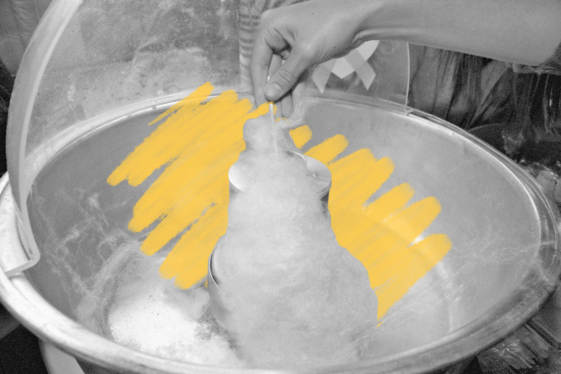 Cotton candy was invented by a dentist. — History Facts