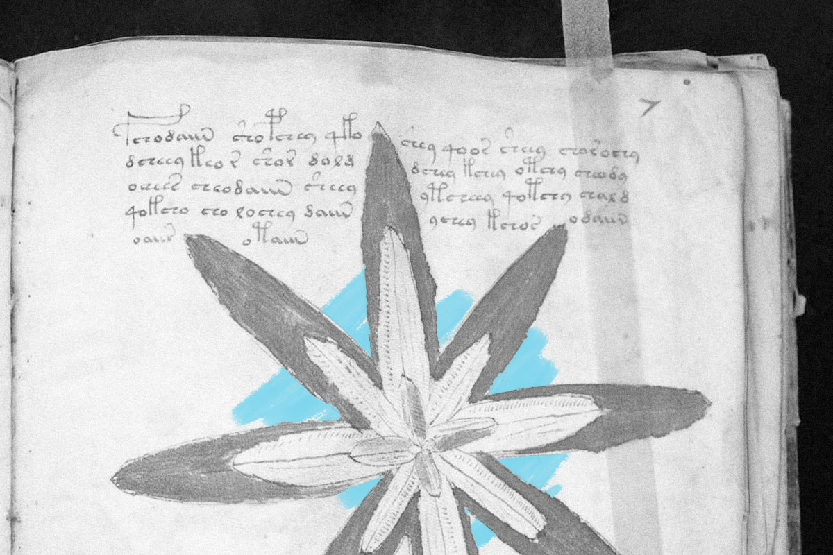 Voynich manuscript page