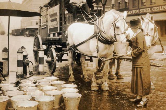 HISTORY FACTS * What a city street looked like 100 years ago * 6_HF_city-streets-100-years-ago_horses