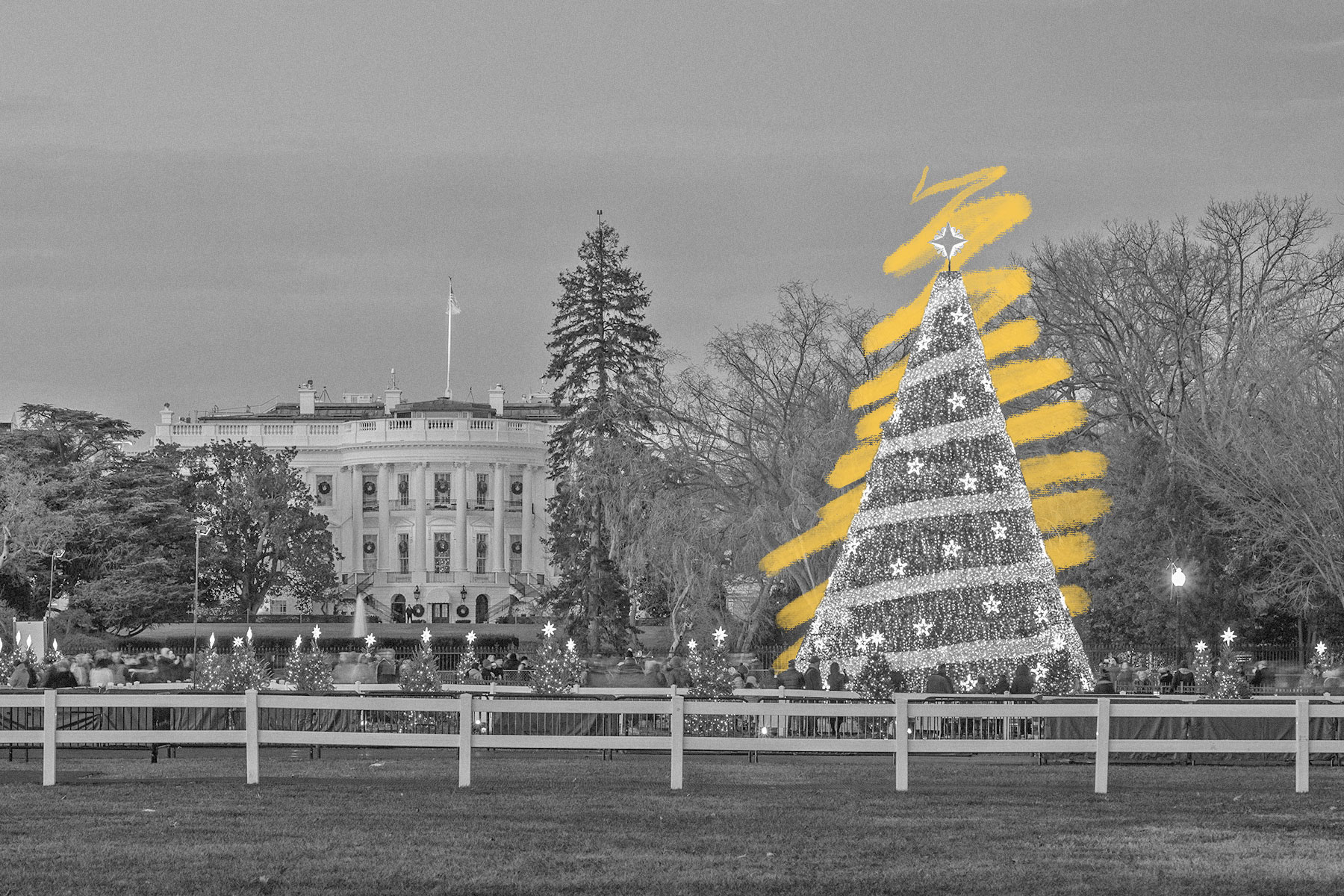 Teddy Roosevelt’s son snuck the family’s first Christmas tree into the White House. — History Facts