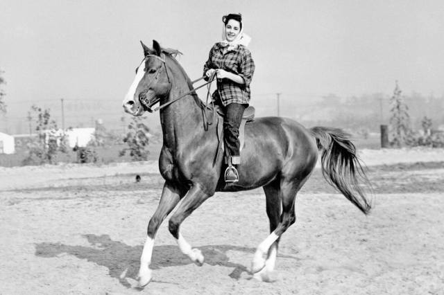 HISTORY FACTS * History's most famous pets * 5_HF_Famous-pets_king-charles-horse