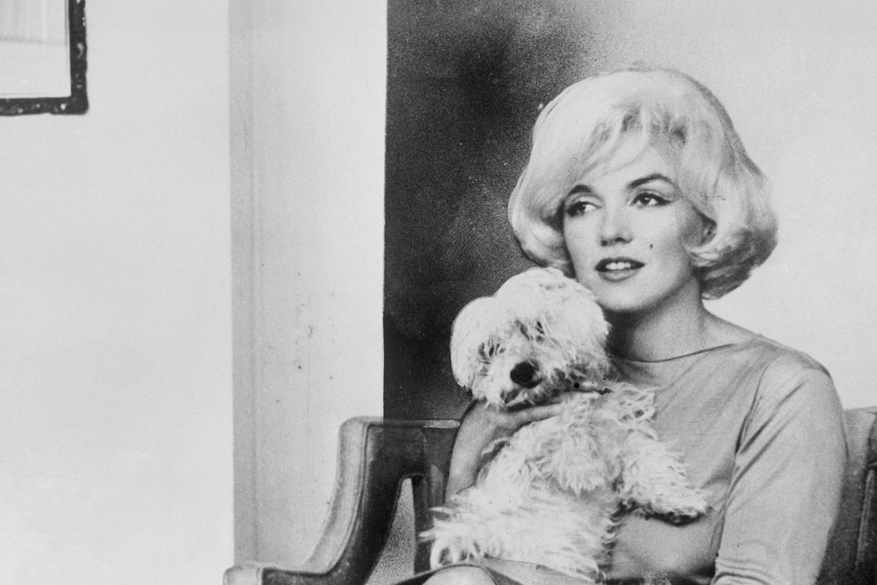 Marilyn Monroe's dog, Maf