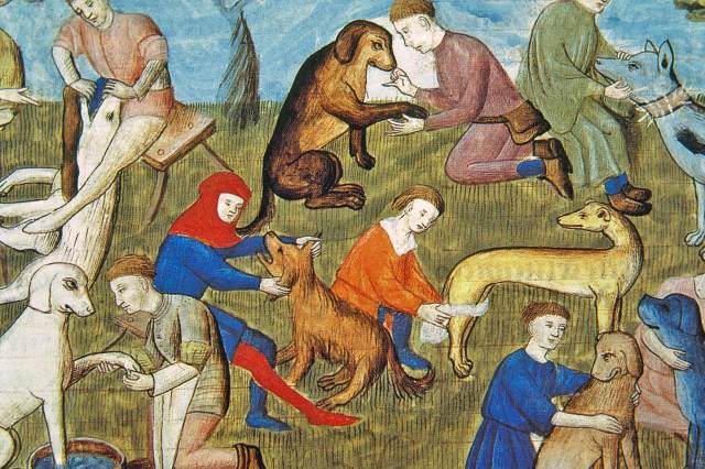 The Funniest Medieval Dog Names — History Facts
