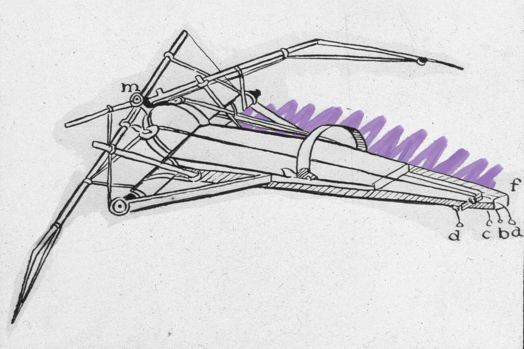 Leonardo's ornithopter