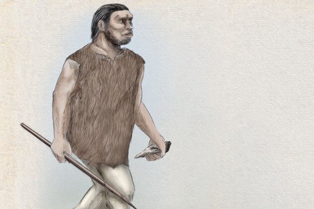 What's the Difference Between Homo Sapiens and Neanderthals? — History