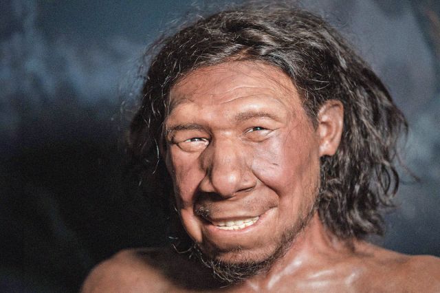 What's the Difference Between Homo Sapiens and Neanderthals? — History