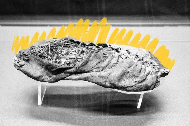 Oldest leather footwear